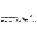 Lire la suite à propos de l’article Association –  ACCA Sérézin-de-la-Tour
