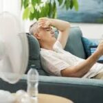 alerte canicule 2026