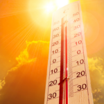 Lire la suite à propos de l’article Vigilance canicule – Orange