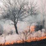 Lire la suite à propos de l’article Passage à un risque incendie « Très sévère »